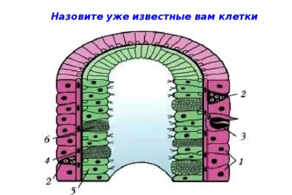 Кракен войти на сайт